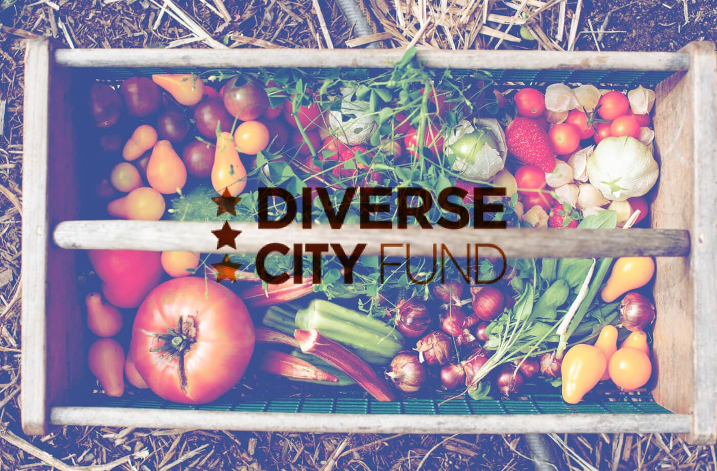 Diverse City Funds